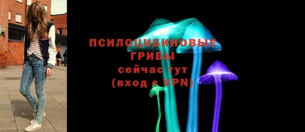 apvp Абаза