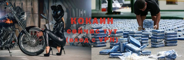 apvp Абаза