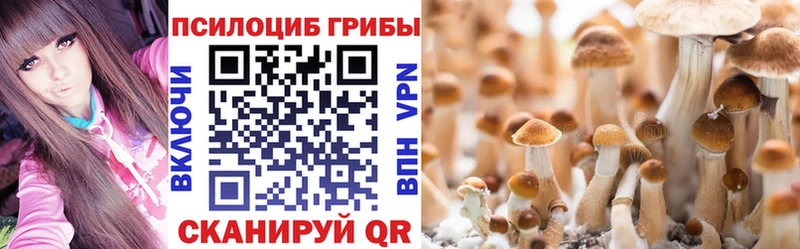 Галлюциногенные грибы Magic Shrooms  Рассказово 